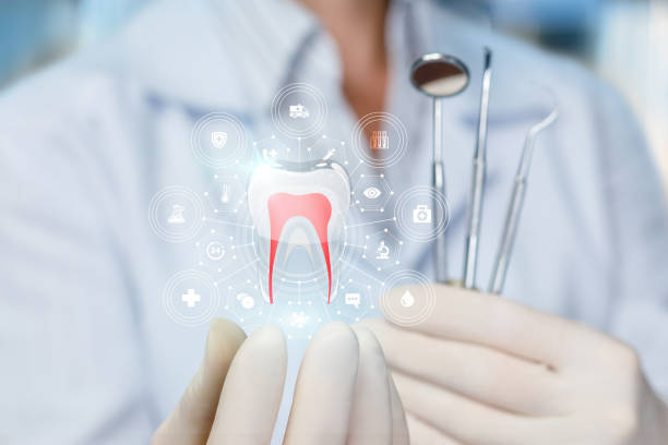 Best General Dentistry  in Newport, WA